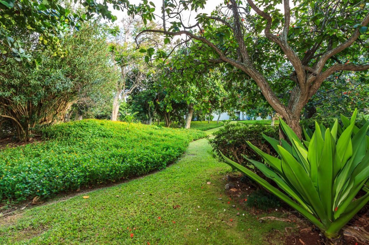 Modern, Romantic Vibes In The Tropics Kahuku Eksteriør billede